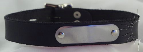 Name Plate Collar Name Plate Collar